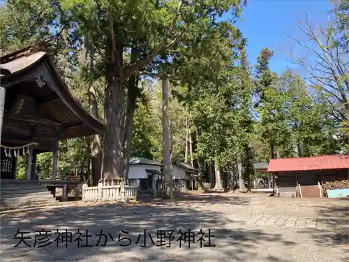 矢彦神社(長野県)