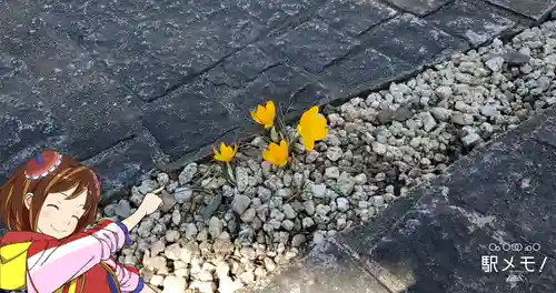 浄慶庵正王寺の自然