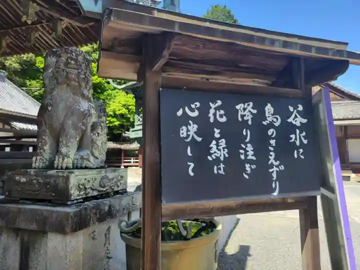 柳谷観音 楊谷寺(京都府)
