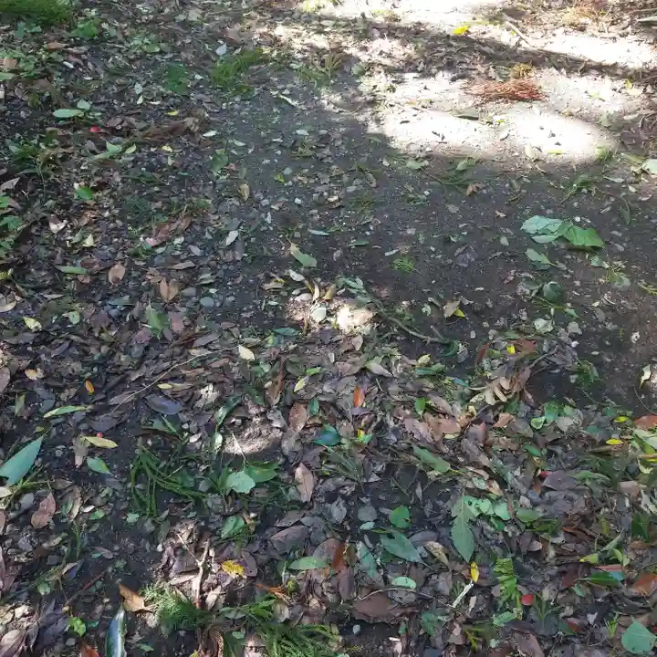 沼尾神社の自然