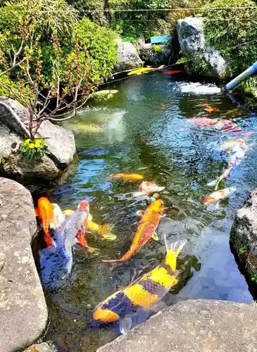 長寿院(福島県)