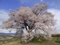 実相寺(山梨県)