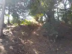 鹿島神社の自然