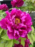 御塔生福寺の{uncategorized: "未分類", other: "その他", undefined: "問題あり", building: "その他建物", grave: "お墓", sacred_gate: "鳥居", guardian: "狛犬", statue: "像", buddha: "仏像", history: "歴史", nature: "自然", garden: "庭園", animal: "動物", pagoda: "塔", temizu: "手水舎", mountain_gate: "山門・神門", sanctuary: "本殿・本堂", subordinate: "末社・摂社", art: "芸術", scenery: "景色", jizo: "地蔵", ema: "絵馬", goshuin: "御朱印", omikuji: "おみくじ", items: "授与品その他", amulet: "お守り", goshuincho: "御朱印帳", eats: "食事", festival: "お祭り", votive_dance: "神楽", shichigosan: "七五三参", wedding: "結婚式", experience: "体験その他", initially: "初詣", around: "周辺", anti_infection: "感染症対策"}