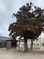 保食神社(千葉県)