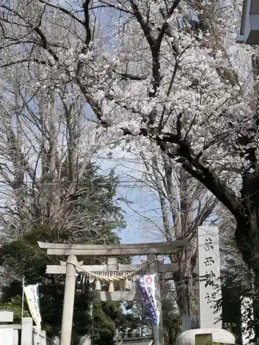 葛西神社の鳥居