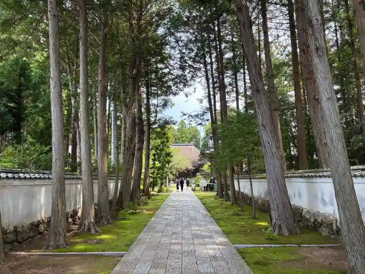 國分寺(高知県)