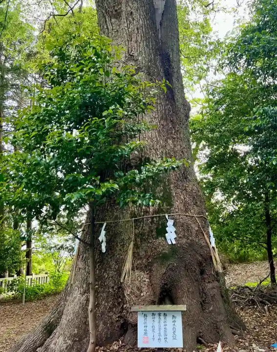 袖師神明宮(静岡県)