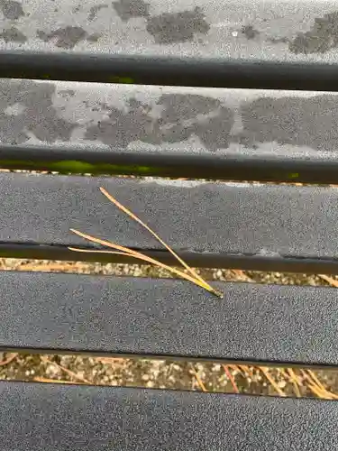 大聖寺（土浦大師不動尊）の自然