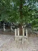 櫛玉命神社(奈良県)