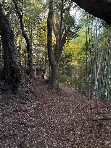 小池安房神社(千葉県)