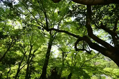 大窪寺(香川県)
