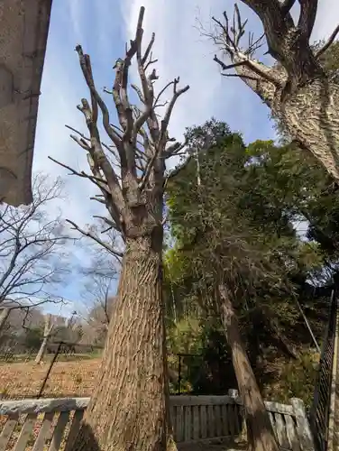 熊野神社(神奈川県)