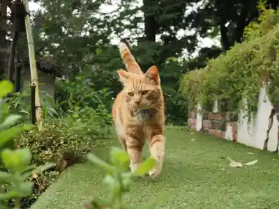 天王山 安楽寺(福井県)