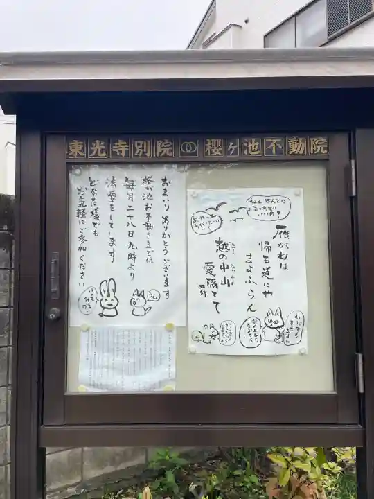 東光寺別院桜ヶ池不動院の{uncategorized: "未分類", other: "その他", undefined: "問題あり", building: "その他建物", grave: "お墓", sacred_gate: "鳥居", guardian: "狛犬", statue: "像", buddha: "仏像", history: "歴史", nature: "自然", garden: "庭園", animal: "動物", pagoda: "塔", temizu: "手水舎", mountain_gate: "山門・神門", sanctuary: "本殿・本堂", subordinate: "末社・摂社", art: "芸術", scenery: "景色", jizo: "地蔵", ema: "絵馬", goshuin: "御朱印", omikuji: "おみくじ", items: "授与品その他", amulet: "お守り", goshuincho: "御朱印帳", eats: "食事", festival: "お祭り", votive_dance: "神楽", shichigosan: "七五三参", wedding: "結婚式", experience: "体験その他", initially: "初詣", around: "周辺", anti_infection: "感染症対策"}