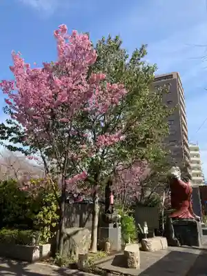 浄心寺(東京都)