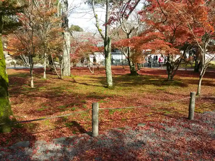 南禅寺の庭園