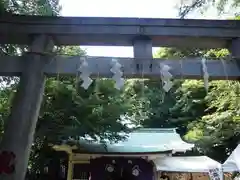 駒込富士神社の鳥居