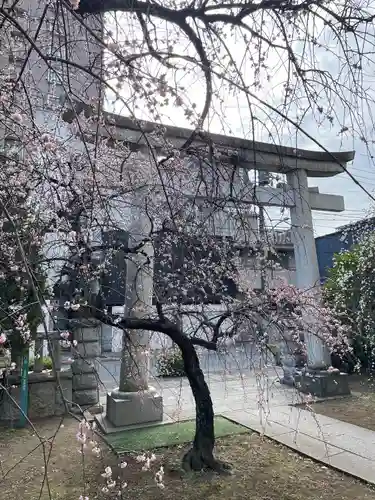 川口神社(埼玉県)