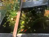 高司神社〜むすびの神の鎮まる社〜(福島県)