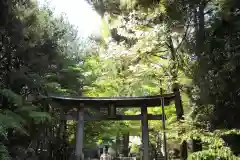 春日部八幡神社の鳥居