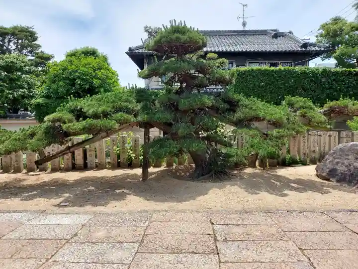 大聖観音寺(あびこ観音)(大阪府)