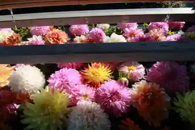 豊景神社の手水舎