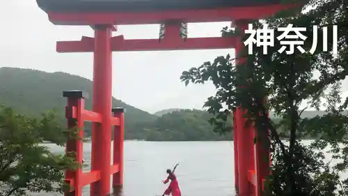 箱根神社の鳥居