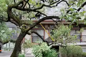 光明寺の景色(2019年11月06日(水) 22時13分31秒投稿)