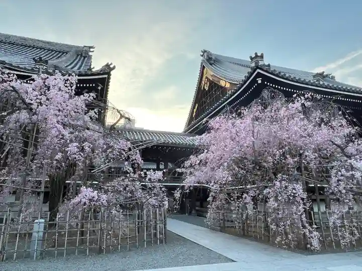 佛光寺(京都府)
