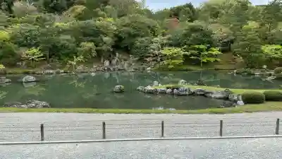天龍寺の{uncategorized: "未分類", other: "その他", undefined: "問題あり", building: "その他建物", grave: "お墓", sacred_gate: "鳥居", guardian: "狛犬", statue: "像", buddha: "仏像", history: "歴史", nature: "自然", garden: "庭園", animal: "動物", pagoda: "塔", temizu: "手水舎", mountain_gate: "山門・神門", sanctuary: "本殿・本堂", subordinate: "末社・摂社", art: "芸術", scenery: "景色", jizo: "地蔵", ema: "絵馬", goshuin: "御朱印", omikuji: "おみくじ", items: "授与品その他", amulet: "お守り", goshuincho: "御朱印帳", eats: "食事", festival: "お祭り", votive_dance: "神楽", shichigosan: "七五三参", wedding: "結婚式", experience: "体験その他", initially: "初詣", around: "周辺", anti_infection: "感染症対策"}