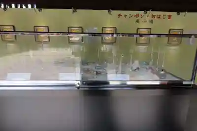 筥崎宮(福岡県)
