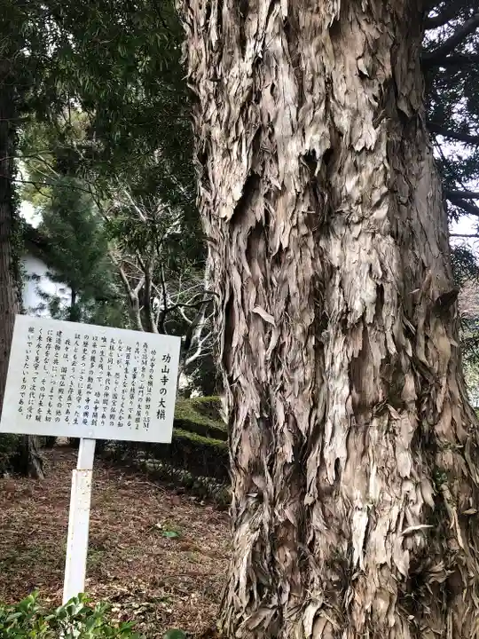 功山寺(山口県)