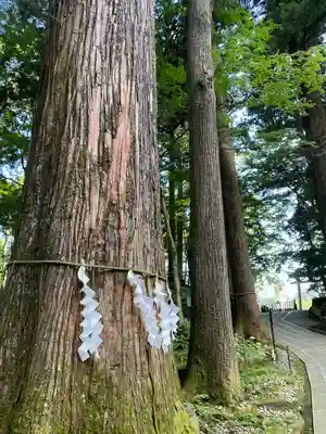 富士山東口本宮 冨士浅間神社(静岡県)