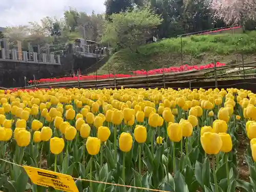 泉蔵寺の庭園