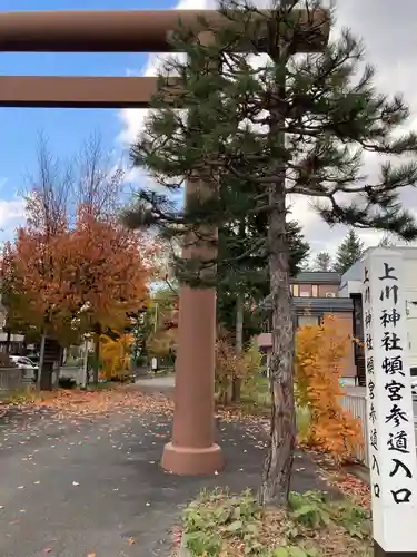 上川神社頓宮の自然