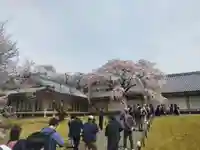 宝聚院(京都府)