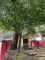 弁財天社(翔鸞公園内)(京都府)