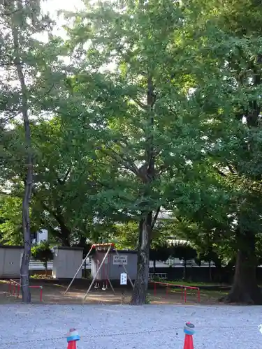 田中八幡宮の自然