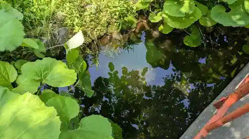 浅草観音寺の庭園