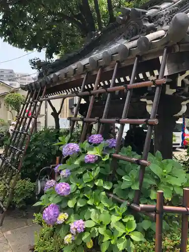 白山神社の手水舎