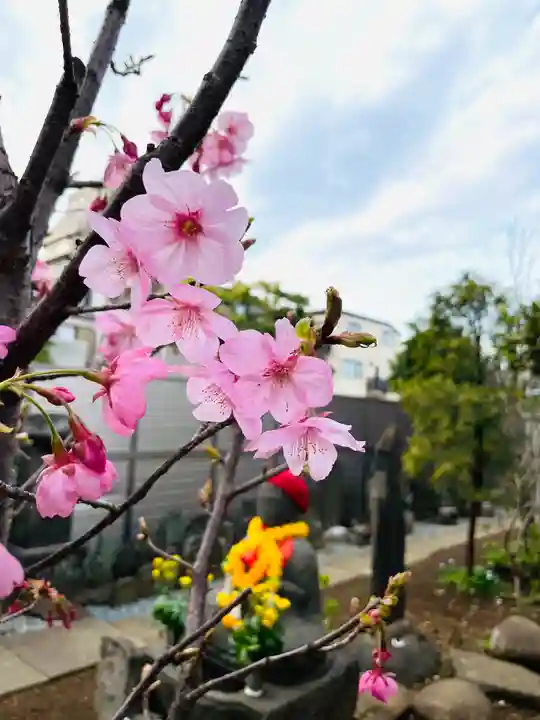 福王山 慈眼寺の自然