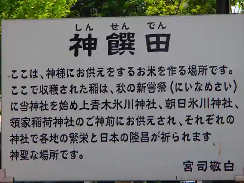 鎮守氷川神社の歴史