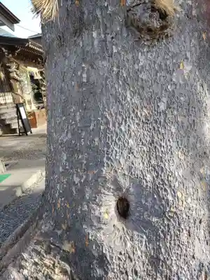 須賀神社(宮城県)