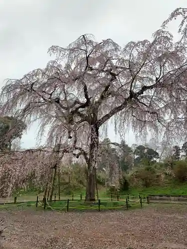 福星寺(千葉県)