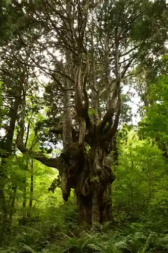 白島神社(島根県)