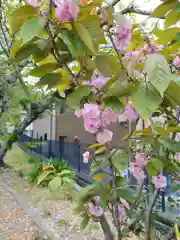 赤尾渋垂郡辺神社の庭園