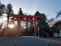 冠稲荷神社の鳥居