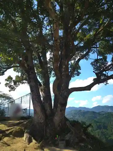 サムハラ神社 元宮の自然