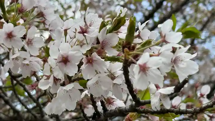 於呂閇志胆澤川神社(岩手県)
